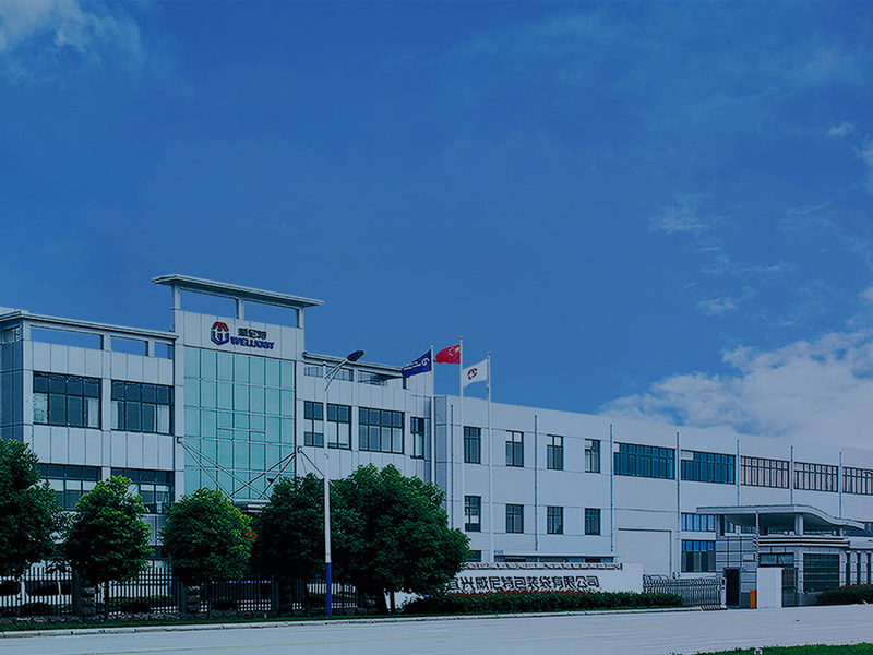 成功案例一宜興威尼特集裝袋有限公司